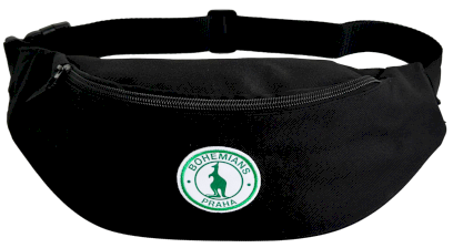 5522-ledvinka znak vysivka bohemians